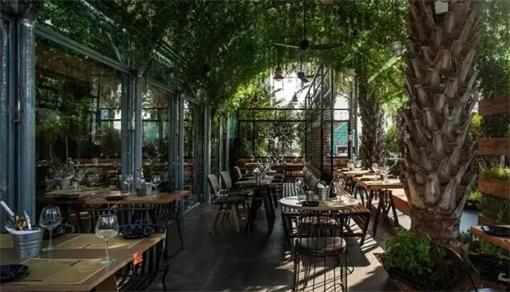 綠色（sè）植物餐廳（tīng）