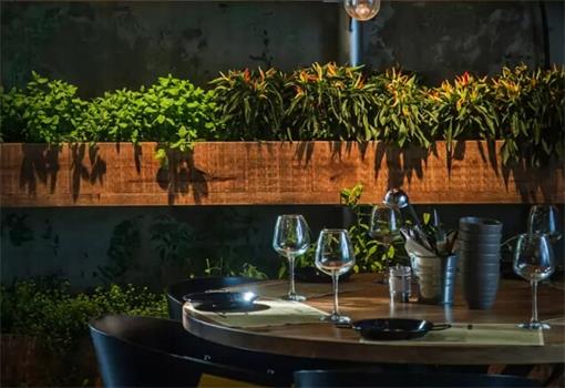 植物餐（cān）廳