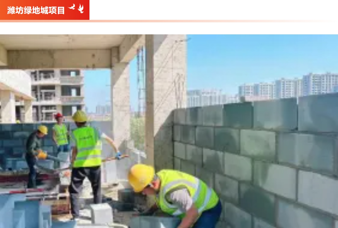 “五（wǔ）一”奮戰（zhàn）不停歇 項目（mù）一線建設忙
